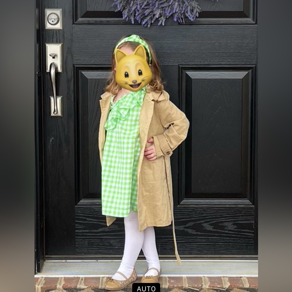 J. Crew Crewcuts Green Gingham Dress size 3